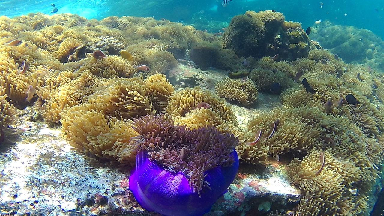 Green Adamas Resort Chumphon Εξωτερικό φωτογραφία